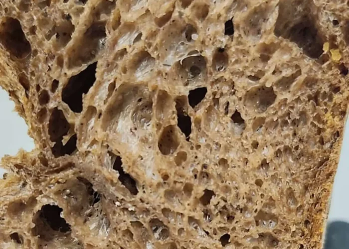 Forno L'Arte Bianca - Pane Riso orzo Farro monococco